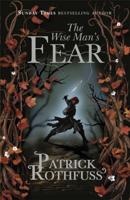 The Wise Man's Fear : The Kingkiller Chronicle: Book 2 cover