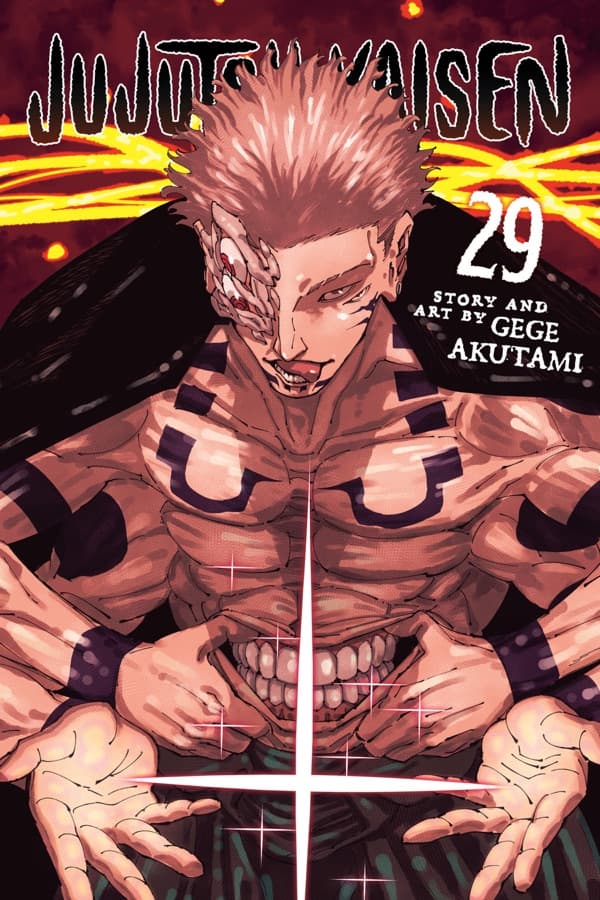 Jujutsu Kaisen, Vol. 29 : Volume 29 cover