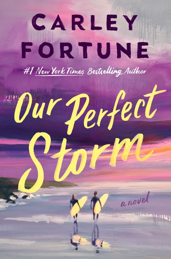 Our Perfect Storm cover